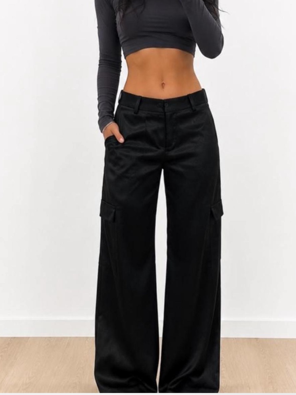 Aritzia Babaton satin cargo pants Size 10